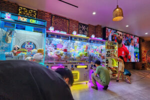 Thiết Bị Quét QR Cho Máy Gắp Thú – CQR-COIN01